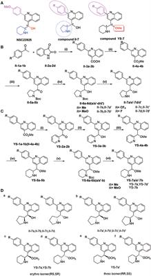 Novel Quinoline Compound Derivatives of NSC23925 as Potent Reversal Agents Against P-Glycoprotein-Mediated Multidrug Resistance